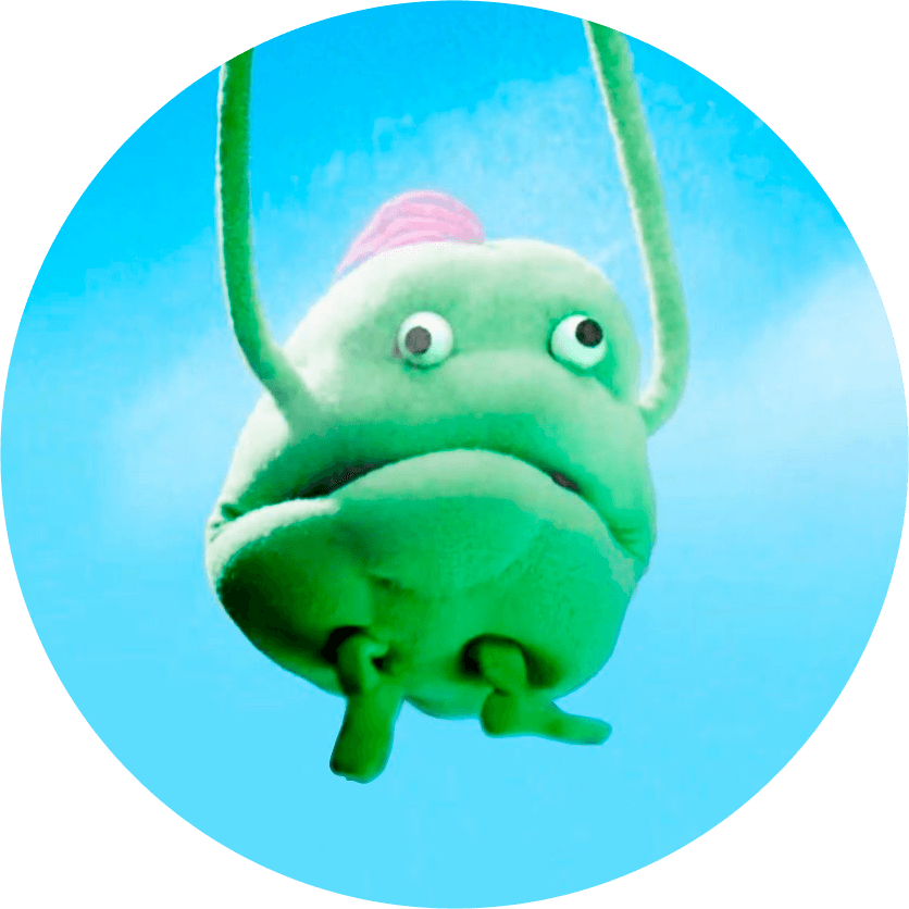 Bog